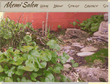 Tablet Screenshot of akemisalon.com
